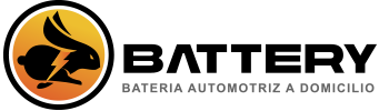 BATTERY BATERIAS LTH A DOMICILIO